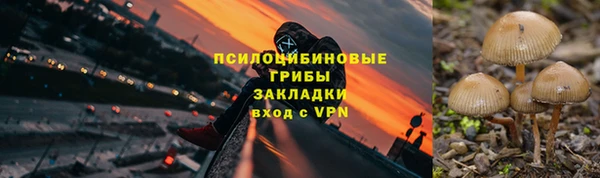 синтетический гашиш Белокуриха