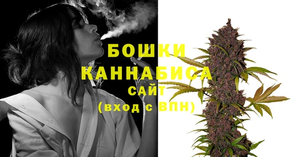 индика Ростов