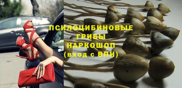сатива Белоозёрский