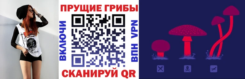 Галлюциногенные грибы мицелий  мега ссылка  Шенкурск 